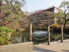“最高学府”ソウル大学は不祥事だらけ!? 韓国からノーベル賞受賞者が生まれないワケ