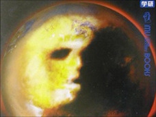 【宇宙人特集】火星の前世記憶もつ2歳少年が語ったレムリア人の謎と地球滅亡