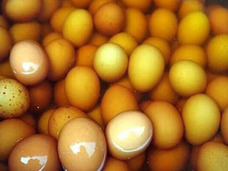 【閲覧注意】中国農村で「男児の新鮮な●●で作ったゆで卵」を売る“親孝行”息子