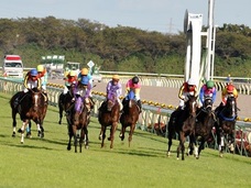 衝撃の穴馬がスタンバイ!? ジャパンカップはだれもが驚く結末に…!