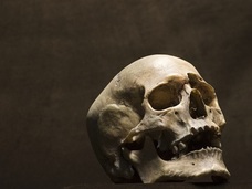 死に至る過程で脳は何を感じているのか ― 化学的に分析したプロセスの結果