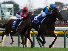 年商62億円の優勝馬、ディープインパクトが凄いことに…!今週のジャパンカップで新たな伝説が誕生か?