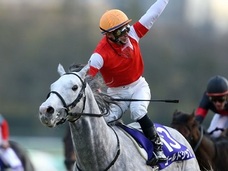 「ドル箱レースです」機密情報を手に入れた組織が有馬記念で圧勝する?