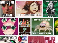 「センパイ=Senpai」がいつの間にか英語になっていた! しかし、外国のオタクが使っていたその意味は・・・!!