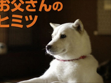 ソフトバンク、au、トヨタ…“コピペCM”ばかりの日本! エンブレム問題が起きたのも必然だった?