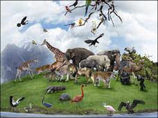 人類が絶滅した後、地球の支配者になる生物は何? 3つの意外な結果とは?