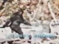 獣人「イエティ」が公式動物となる日も近い? ビッグフット「パターソン・フィルム」の真実も…!