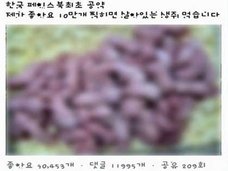 【グロ注意】日本のバカッターとは次元が違う!? 想像を絶する韓国“かまってちゃん”の大暴走
