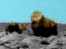 タコ、ウサギ、おじさん… 火星に棲んでいるかもしれない生物9選