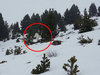 【衝撃動画】ついにイエティがスペインの雪山に出現! あまりの反響で捜査が開始される