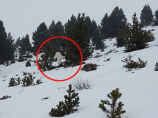 【衝撃動画】ついにイエティがスペインの雪山に出現! あまりの反響で捜査が開始される