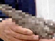 UFOが落とした謎の物体!? 宇宙人存在の証拠が一転、実際は…!?