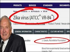ジカウイルスがオンラインで販売中! 感染経路に「遺伝子組み換え蚊」と「ロックフェラー財団」の影
