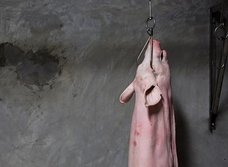 食肉市場で働く人々への差別はどこからきたのか? 関係者が明かした裏話