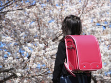 組体操だけではない! 学校空間から消えた6つの懐かしい光景とは?