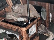 ドイツ人冒険家がミイラ化遺体で発見される! 幽霊ヨットに残された謎のメッセージ