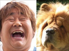 SMAPキムタクも犬に似ている? 犬顔の男性芸能人8選!