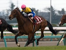 必見! 皐月賞勝利ジョッキーが教える、競馬・皐月賞で150万円をゲットする方法とは?