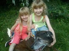 愛犬が幽霊になって戻り、 飼い主を救う衝撃映像! 「濡れた犬のニオイもして…」=英