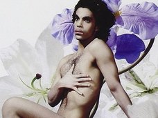 プリンスはエイズで死んでいた!? HIV感染後も治療を拒否、体重は36kgに