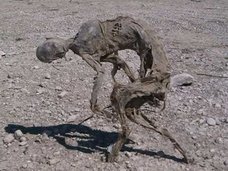 人間とも動物とも違う! 完全に正体不明な「立ったままのミイラ」が発見される=メキシコ
