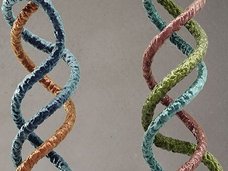 “三重らせん”構造のDNAを持つ子どもがいる!? 「超人類」への進化が始まった可能性!