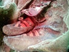 世界初「古代テュルク人」の墓とミイラが完璧な保存状態で出土! 謎多きトルコ人の祖先、ついに正体解明へ!?