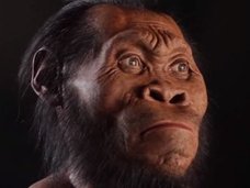 新種の人類か!? 世紀の大発見「ホモ・ナレディ」の骨に議論沸騰中!