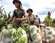 「草1本生えなくなる……」世界中を破壊し尽くす中国企業“農地爆買い”被害の深刻度