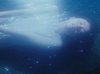 「青」が気になりすぎた写真家が撮った“青のすべて” ― シュタイナー色彩論にヒントを得た熊谷聖司の写真集が美しすぎる!