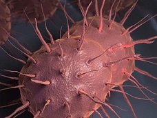 女性の半数、危険な性交渉? 抗生物質で治らない「スーパー淋病」が英国で感染流行か!