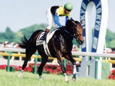 10万人が注目する競馬評論家がゴリ押しする「狙いの馬」とは?週末の日本ダービーはこの男に乗れ!