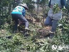 怖すぎ中国! 農地トラブルめぐり、村民300人が大暴れ「当局職員は卵や汚水を浴びせられ、下着を破かれ……」