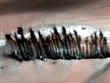 火星に「並木通り」が存在していた!? NASAの探査機が激写、理学博士もコメント!!