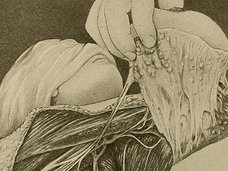 【超・閲覧注意】性的暴行の被害女性からDNAを採取する様子が絶望的…