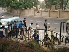 プチ仏教ブームの中国で、スズメ数千羽が大量死! 成り金の浅はかな信仰心の犠牲になる野生生物たち