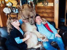 体長2メートルの巨大ヒグマと暮らす夫婦 ― 23年間家族のようにクマと暮らす=ロシア