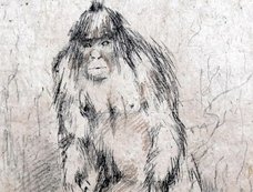 イエティ研究に本気で科学者たちが挑んでいる!? 謎の類人猿はやはりいるのか?