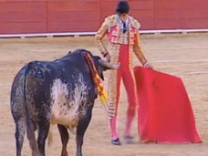 【閲覧注意】今世紀初、闘牛士が死亡 ― 牛の角が肺に達するその瞬間=スペイン