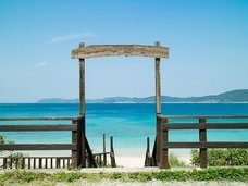 不倫、謎のドリンク、妖怪…現代日本に残された最後の秘境・奄美大島7つの魅力