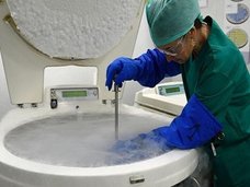 祖母が孫を産む時代が到来 ― “死んだ娘の卵子”で60歳母が誕生