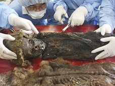 シベリアで子どもの“氷漬けミイラ”が発見される! 内臓がバッチリ残存、解剖結果に専門家驚愕!