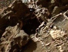 【衝撃】火星で人間の”全身遺骨”を発見! 王冠までハッキリ、「火星文明の王」か!?
