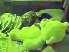 【心霊動画】テディベア、むっくりと起き上がり女児に襲いかかる! 悪霊のレイプ未遂か!?