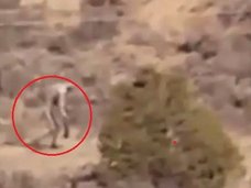 【動画】二足歩行する「チュパカブラ男」が激写される!複数の海外メディアが一斉に報道=ポルトガル