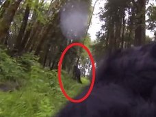 勇敢な犬が巨大ビッグフットと接近遭遇、GoProで激写することに成功=米オレゴン州