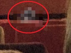 【心霊写真】溺死した少女霊か!? テディベアを抱いた“透明な少女”がクッキリ!!