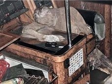 ミイラ化した船長、殺し合う乗組員、海の怪物襲撃…!? 誰にも説明できない恐すぎる幽霊船10選!