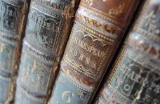 鳩が字を読めるようになることが判明!?
