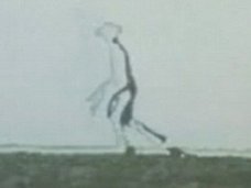 【画像アリ】研究者がやっと発見した第2の地球「プロキシマb」、実は60年前にオカルト界は現地宇宙人らと接触していた!